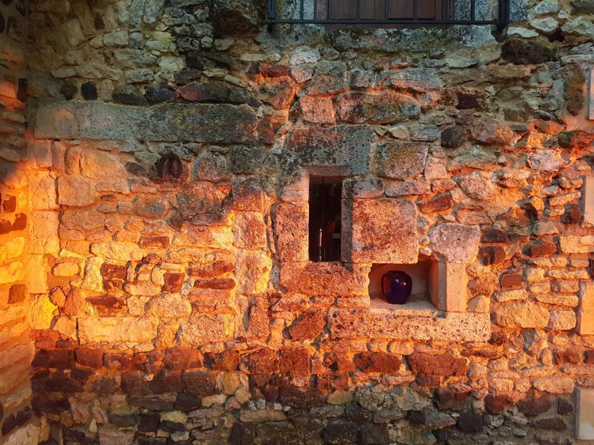 Maison Forte Perreuse Treigny Bagian luar foto