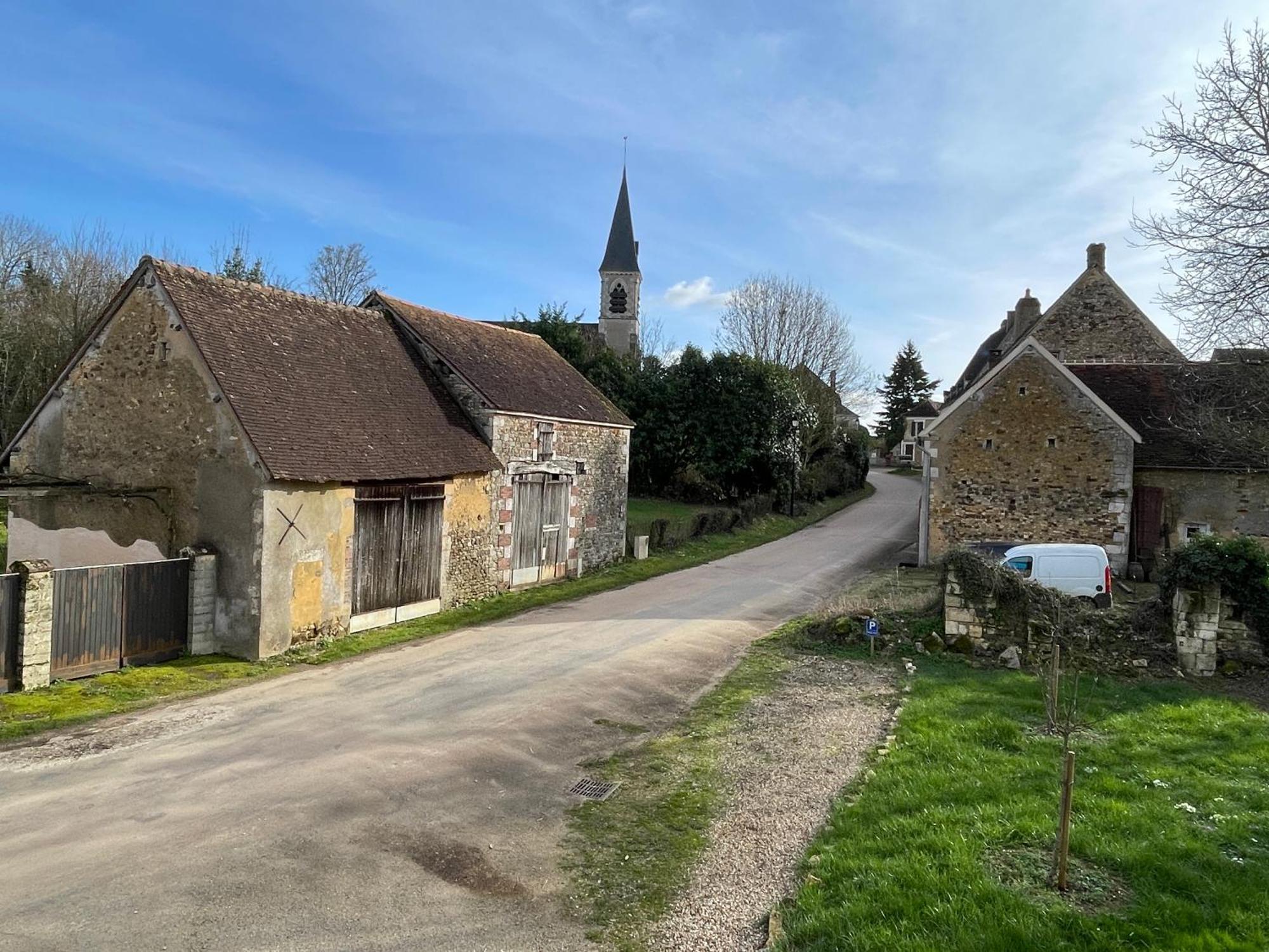 Maison Forte Perreuse Treigny Bagian luar foto